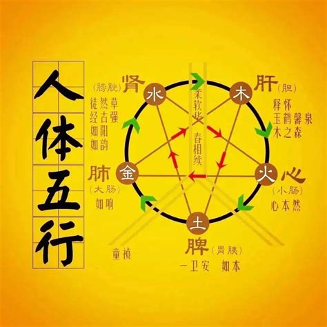 土水相克|“五行相克”，分别是什么克什么？